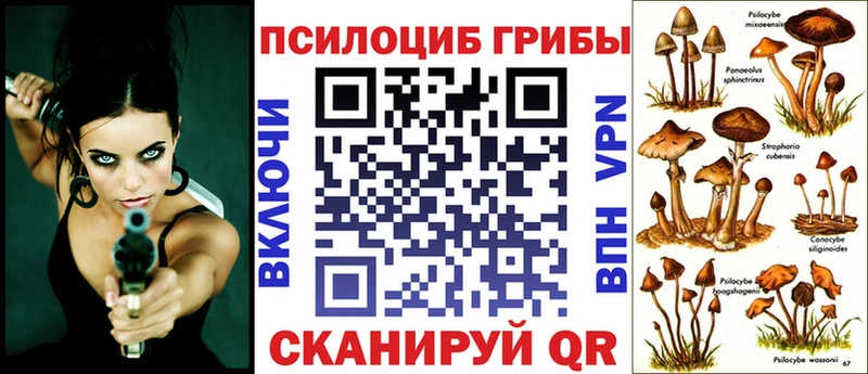Галлюциногенные грибы Psilocybine cubensis  Унеча 