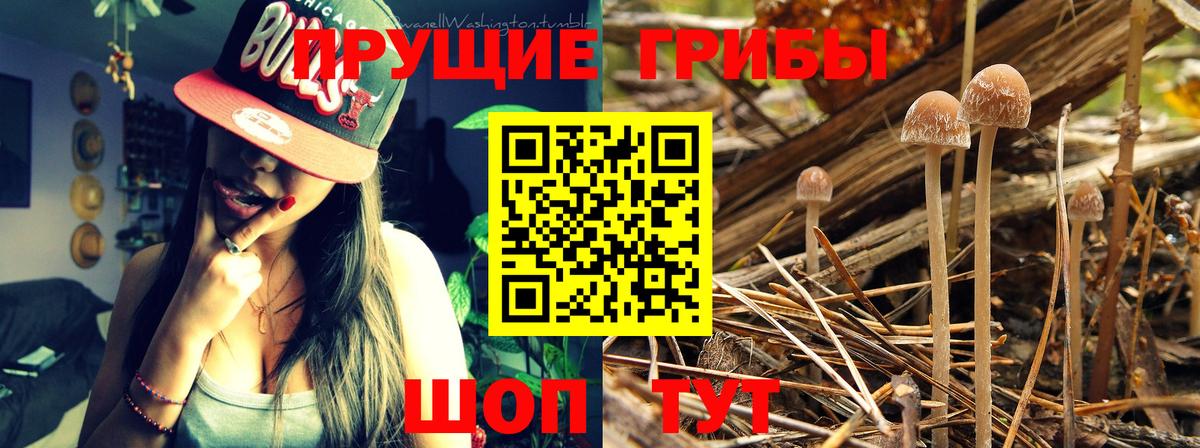 Псилоцибиновые грибы ЛСД Унеча