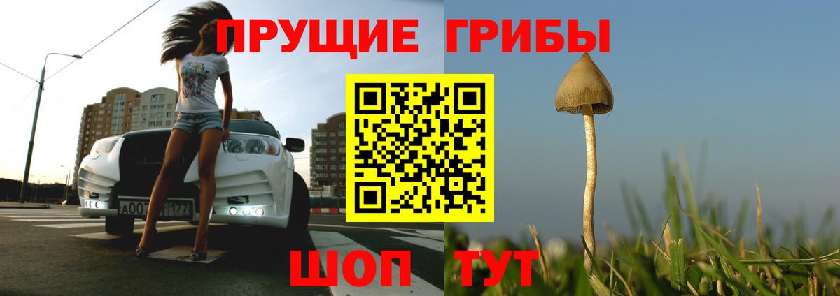 Галлюциногенные грибы мухоморы  Вход с VPN  Унеча 